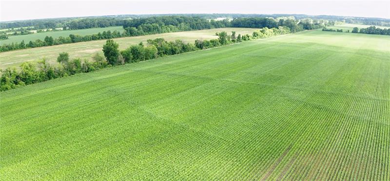 Photo of an economic greenfield site